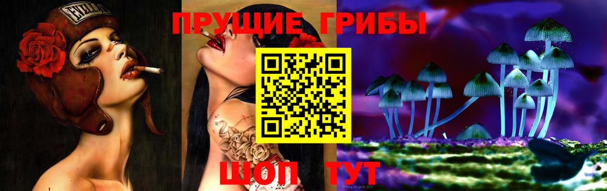 Галлюциногенные грибы MAGIC MUSHROOMS  Вход с VPN  цена   Шелехов 